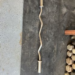 Olympic Curl Bar