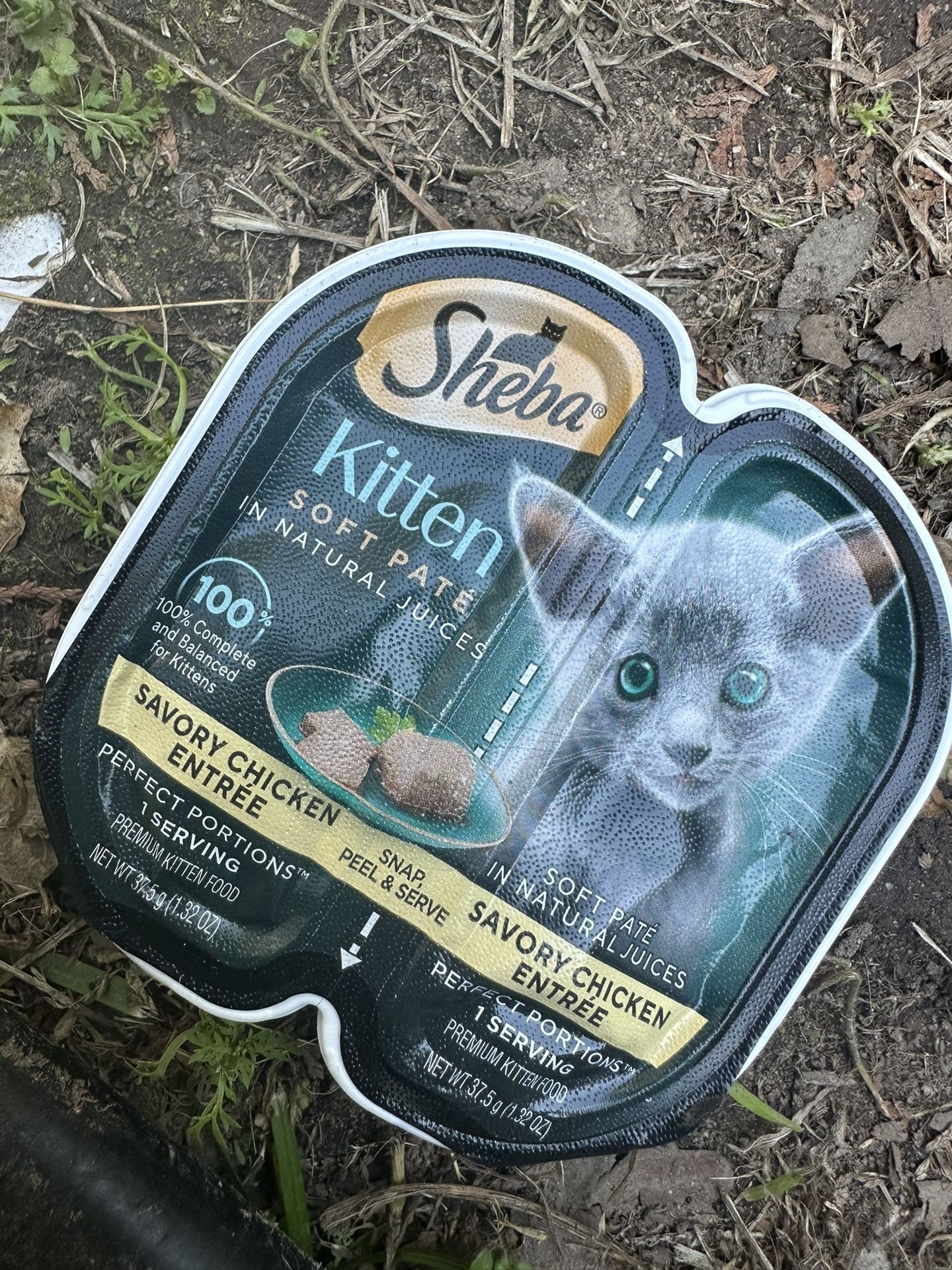 Cat Food