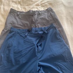 Banana Republic Shorts