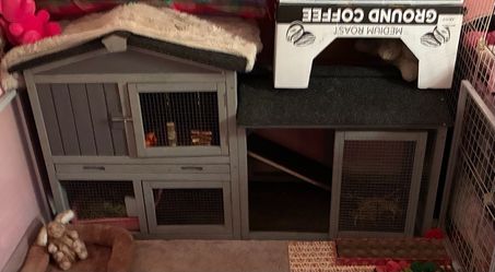 Bunny house/hutch