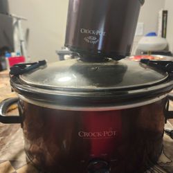 Crock Pot And Rice Cooker