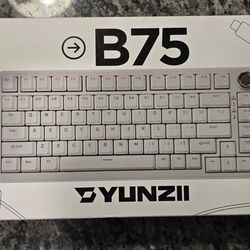 YUNZII B75 Mechanical Keyboard,75% Layout with Knob,Hot Swappable RGB Backlit Gasket Mounted