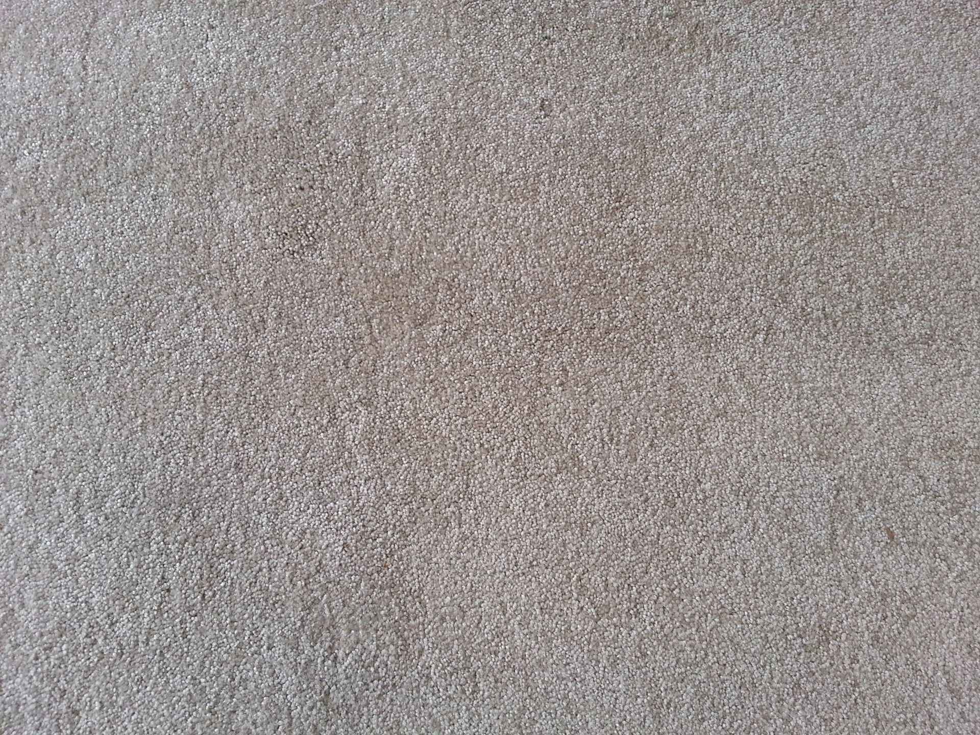 Carpet