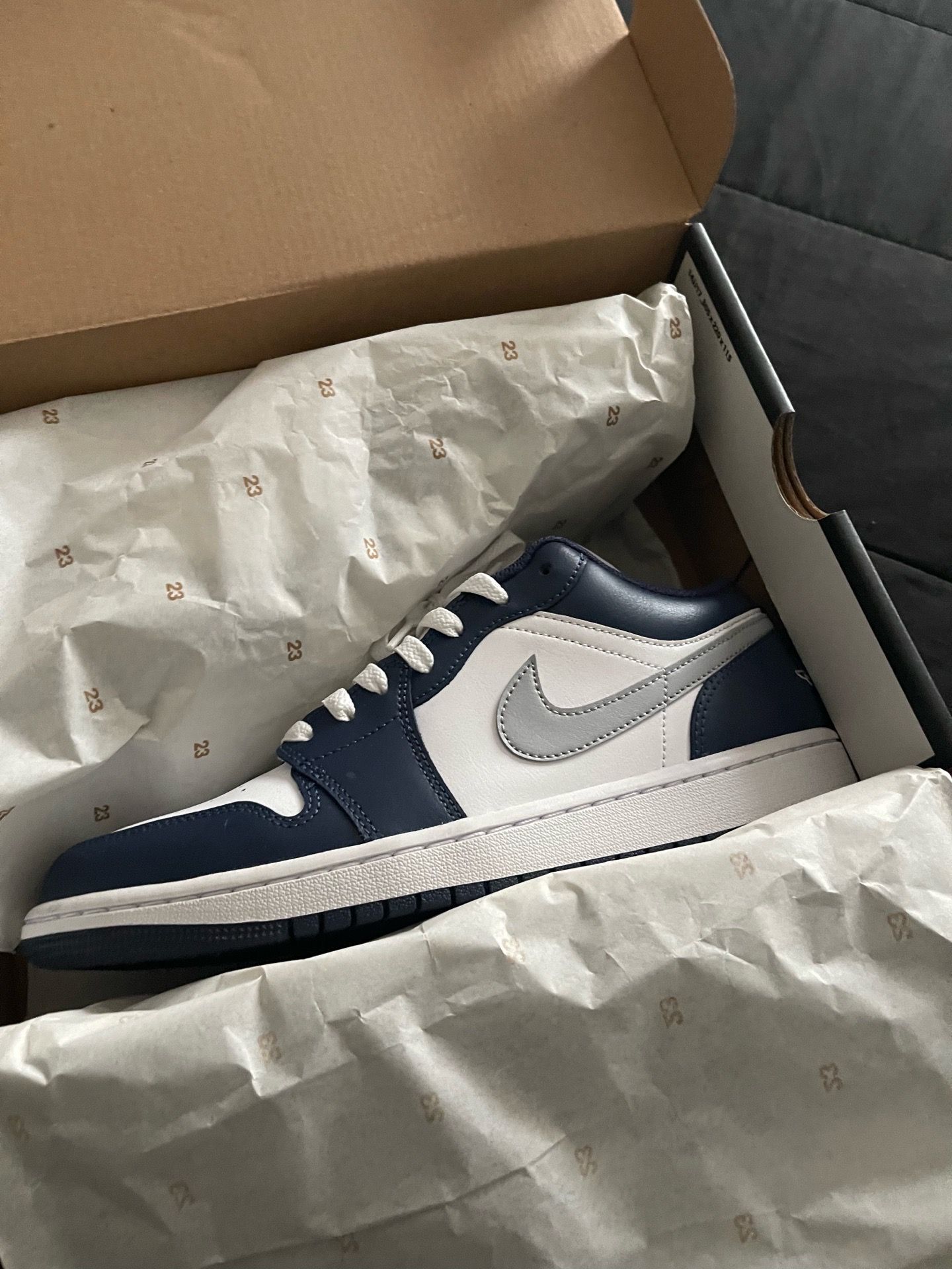 Jordan 1 low