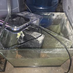 USED 3 Gallon Fish Tank ( Comes With FREE 2nd 3 Gallon Tank) 