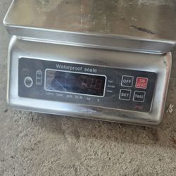 Basculas De Libras  A 25  Cada Una 