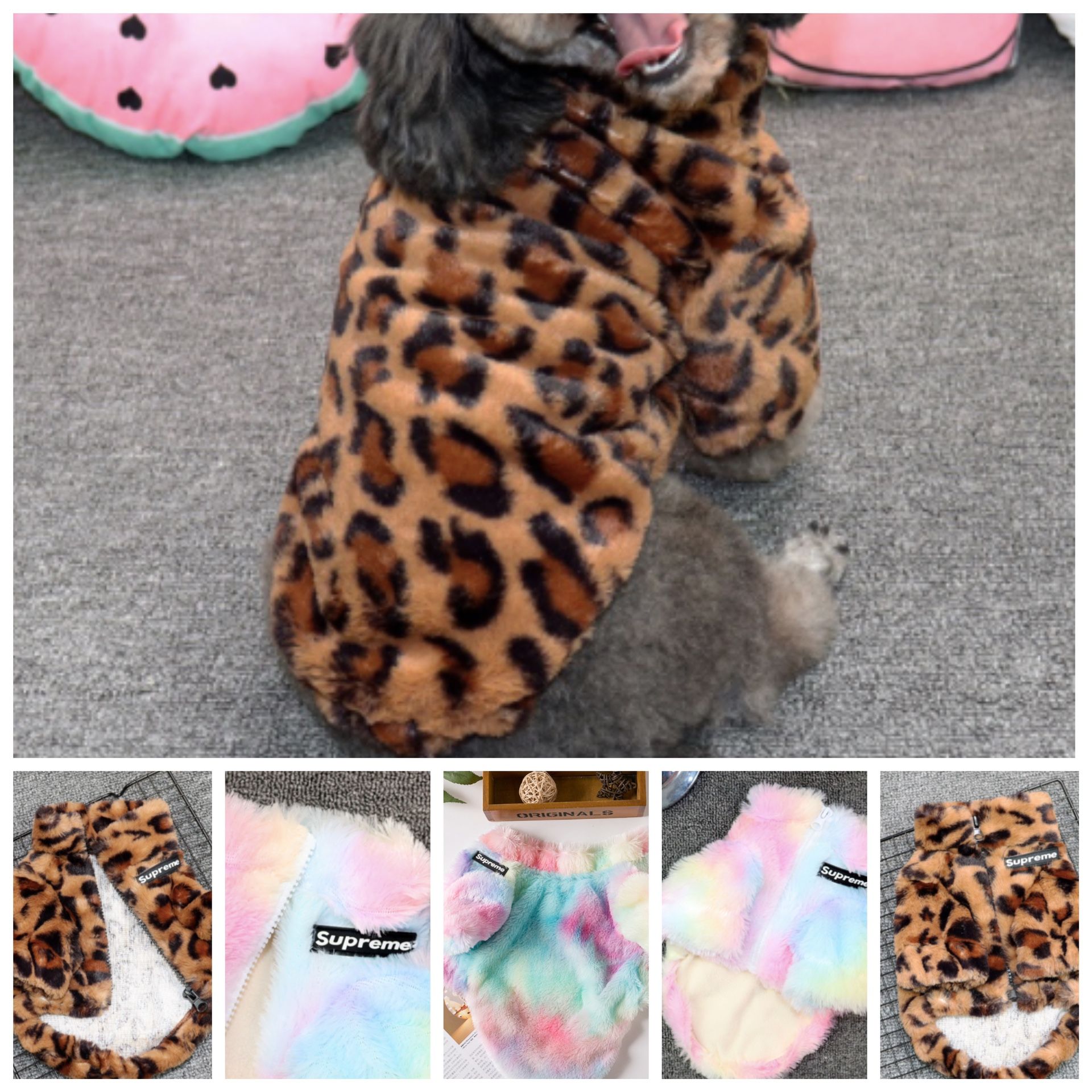 Dog Coat