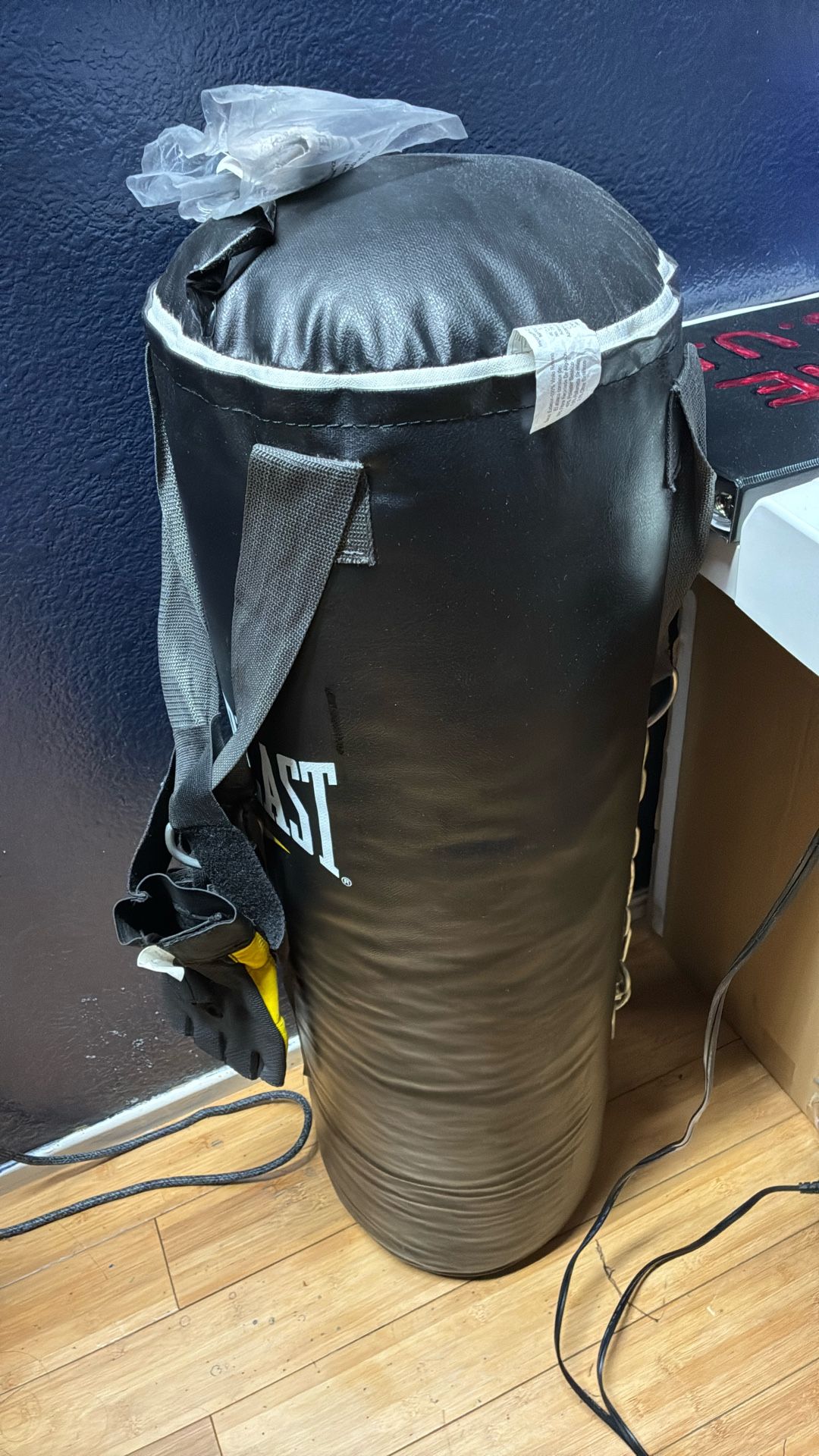 Everlast punching Bag