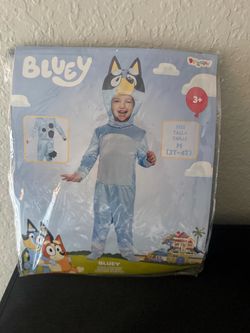 Bluey costume