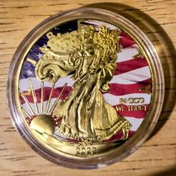 2022 United States Of America Liberty Colorized