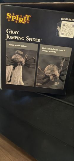 Giant jumping spider