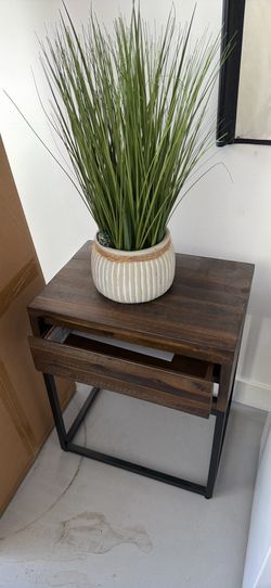 Side Table with Plant