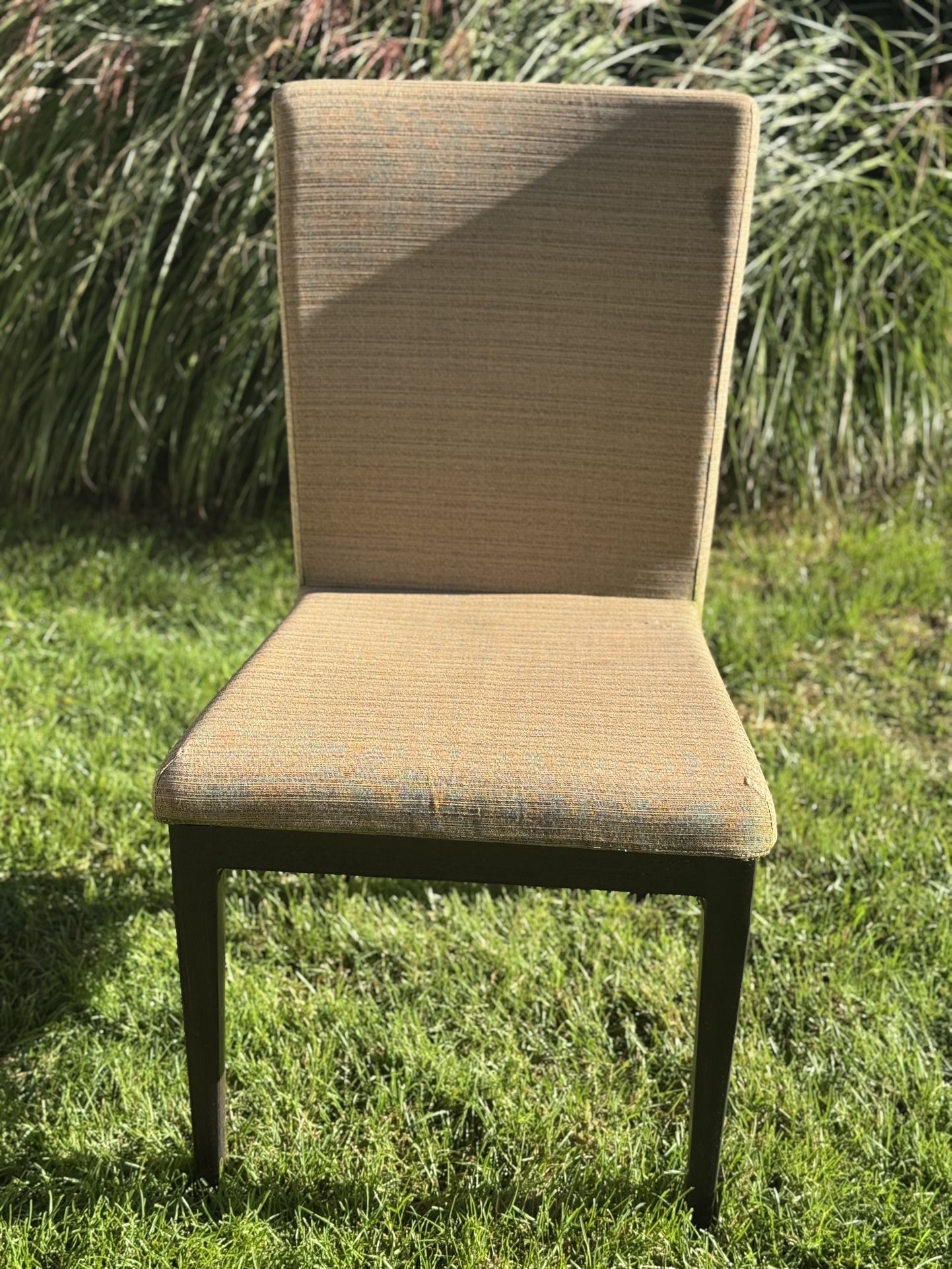 Outdoor Chairs