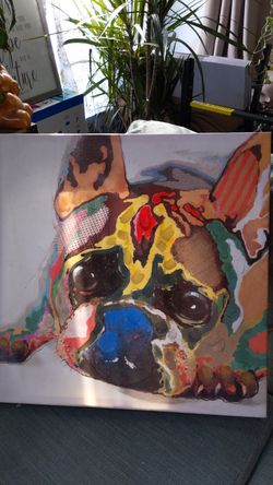 Artistic French bulldog portrait