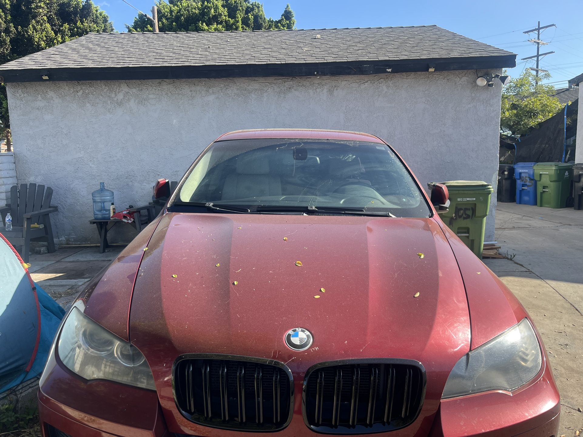 2009 BMW X6