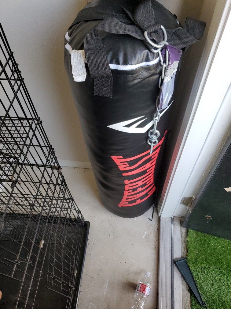 Everlast Punching Bag