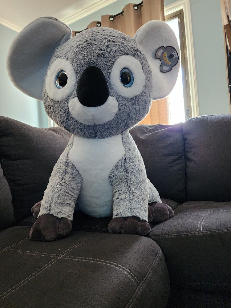 Giant Koala Bear! 