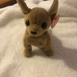 Beanie Baby Collection