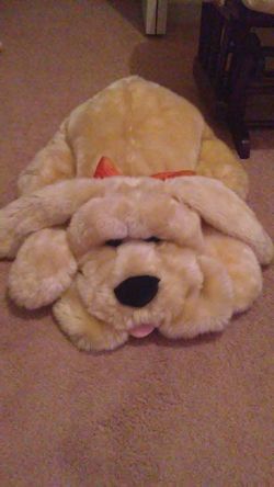 Teddy