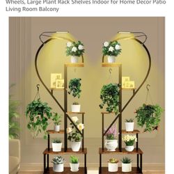 Heart Shape Plant Stand