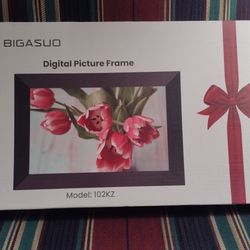 10" Digital Picture Frame 