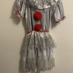 Penny wise  Womens Or Girls  Costume