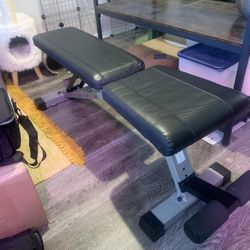 Weight Bench