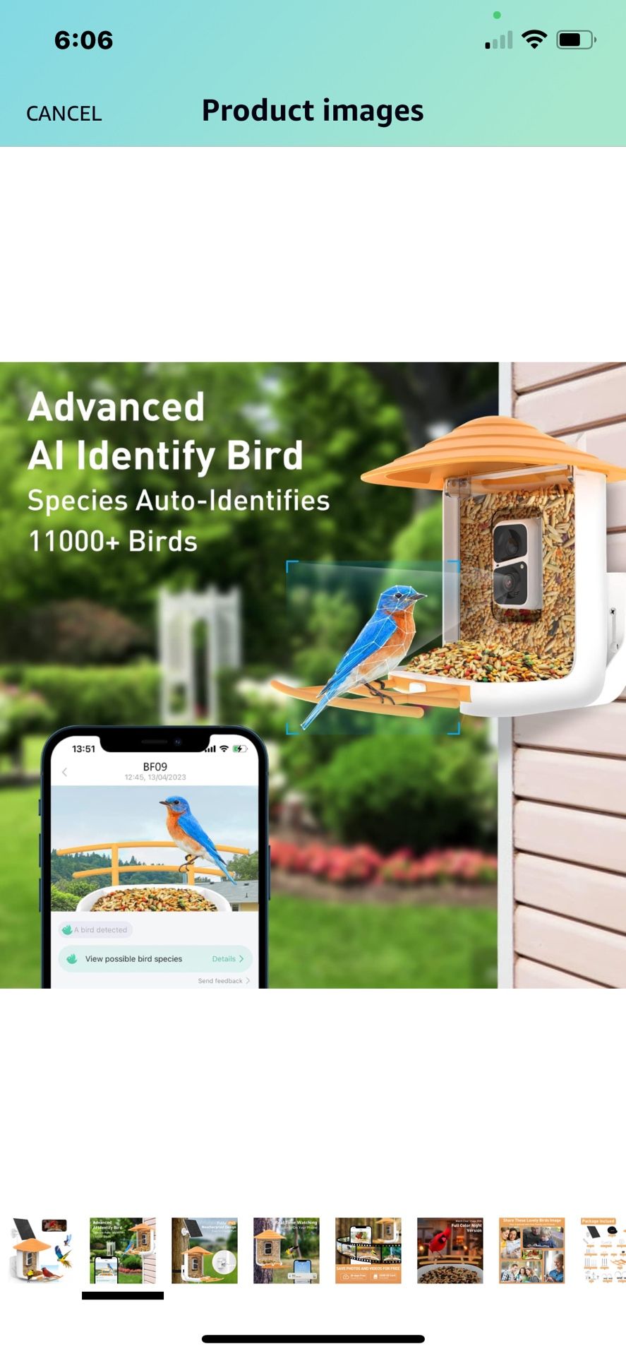 bird species cornell bird feeder cam live