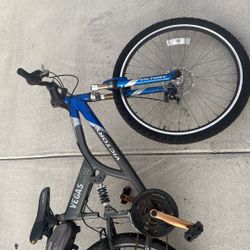 Victory Vegaslow Bicycle