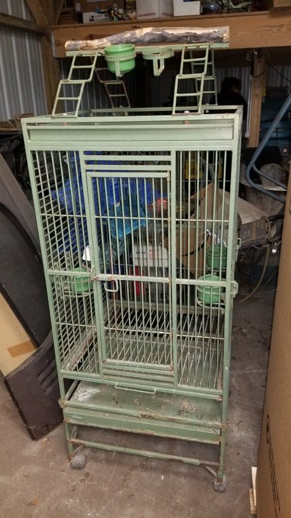 Parrot Or Bird Cage