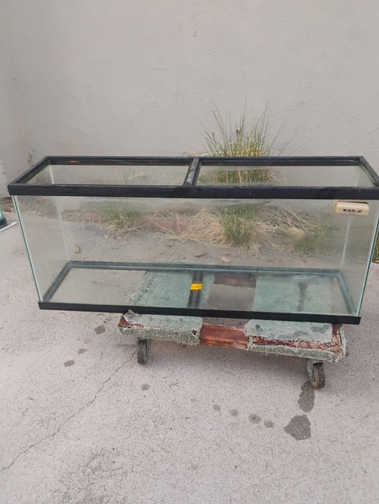 55 Gallon Aquarium With Stand 
