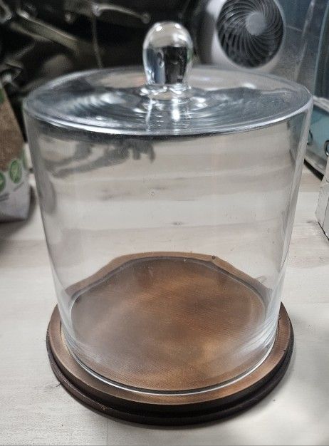 Apothecary Bell Jar Large