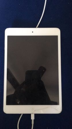 iPad mini 100
