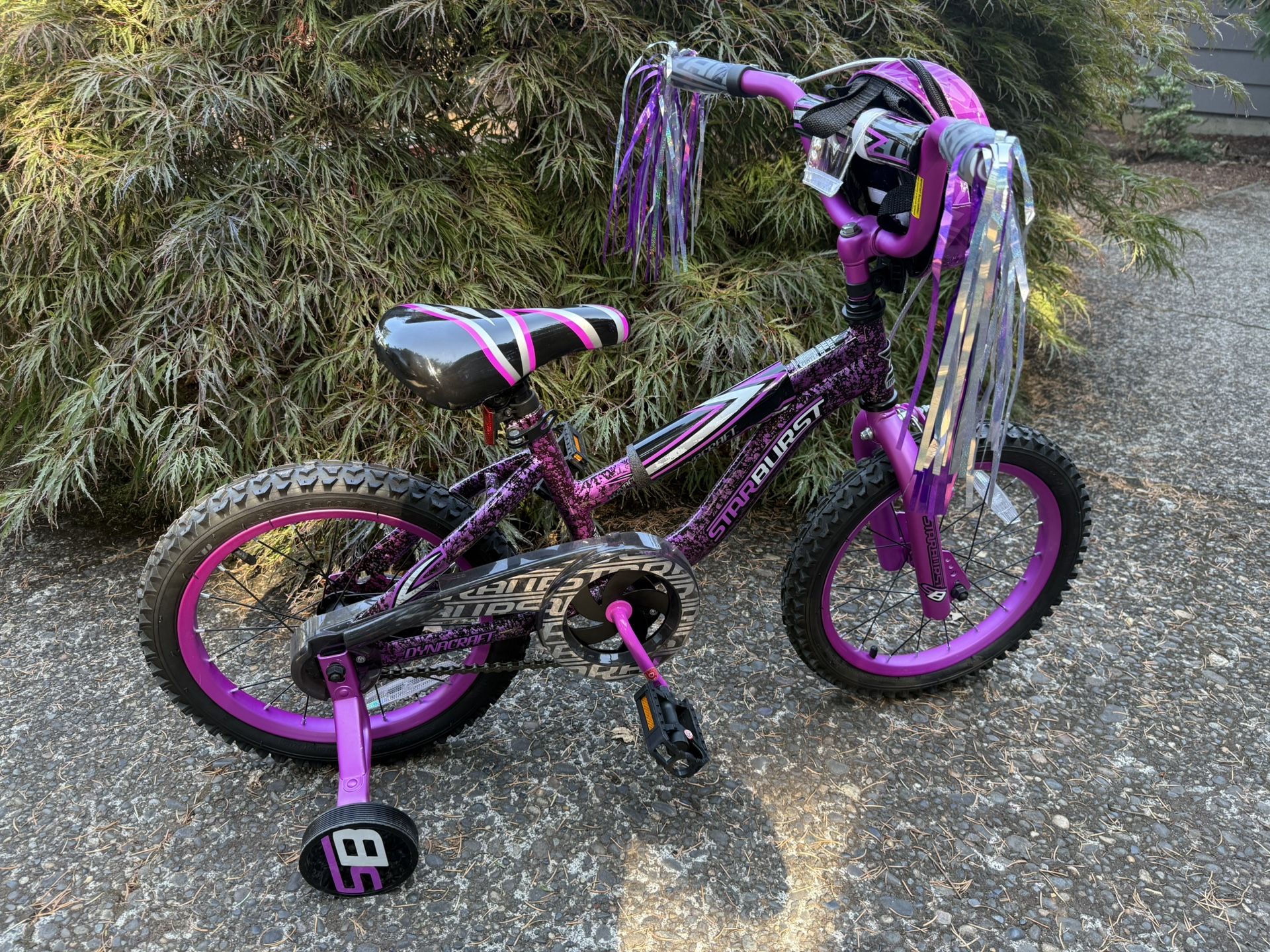 16” Bike (Dynacraft)