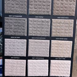 Carpet  and installation