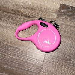 Flexi leash 
