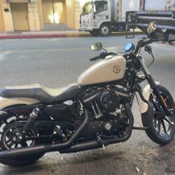 2022 Harley Davidson Iron 883 sportster