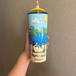 Disney Starbucks, Tumblr