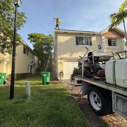 Pressure Clean - Soft wash