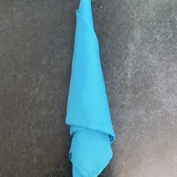 Blue Cloth Napkins 