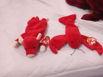 Pincher and SNORT THE RED BULL