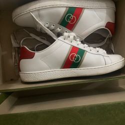 Gucci tenis 