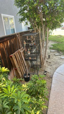Large Bird Cage