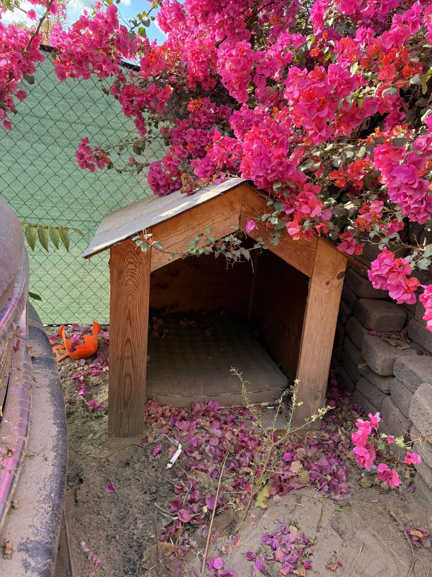 FREE LARGE DOG HOUSE BRING TRUCK AND HELP