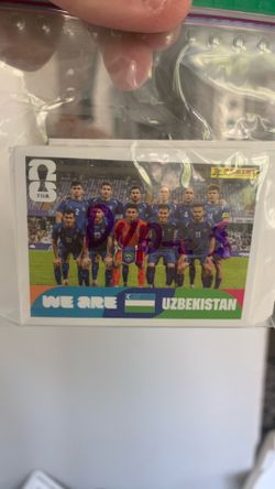 PANINI WORLD CUP STICKERS  CHECK DESCRIPTION