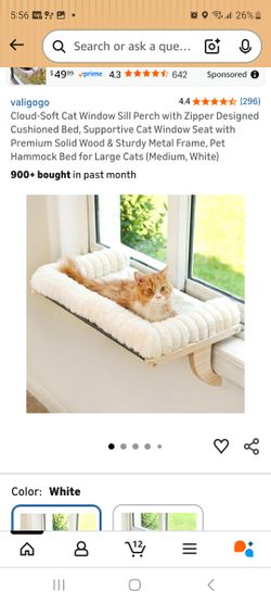 Cat window perch/bed