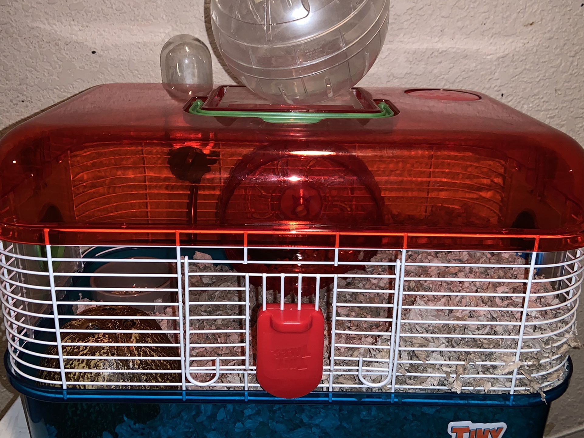 hamster cage and ball