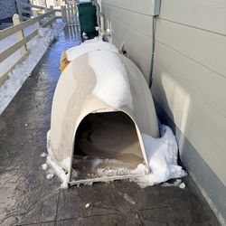 Dog igloo