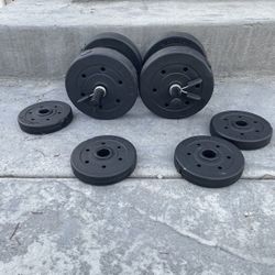 Gold's gym dumbbell set 40 lbs sale