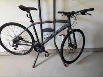 Raleigh Bike